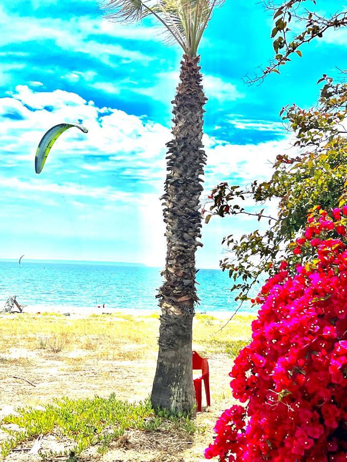 Windsurf Beach Front トッレ・グランデ エクステリア 写真
