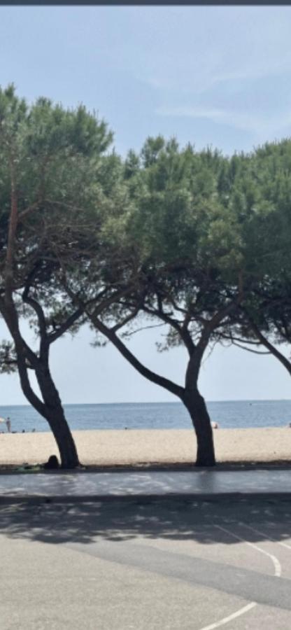Windsurf Beach Front トッレ・グランデ エクステリア 写真