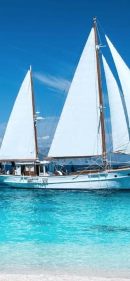 Windsurf Beach Front トッレ・グランデ エクステリア 写真