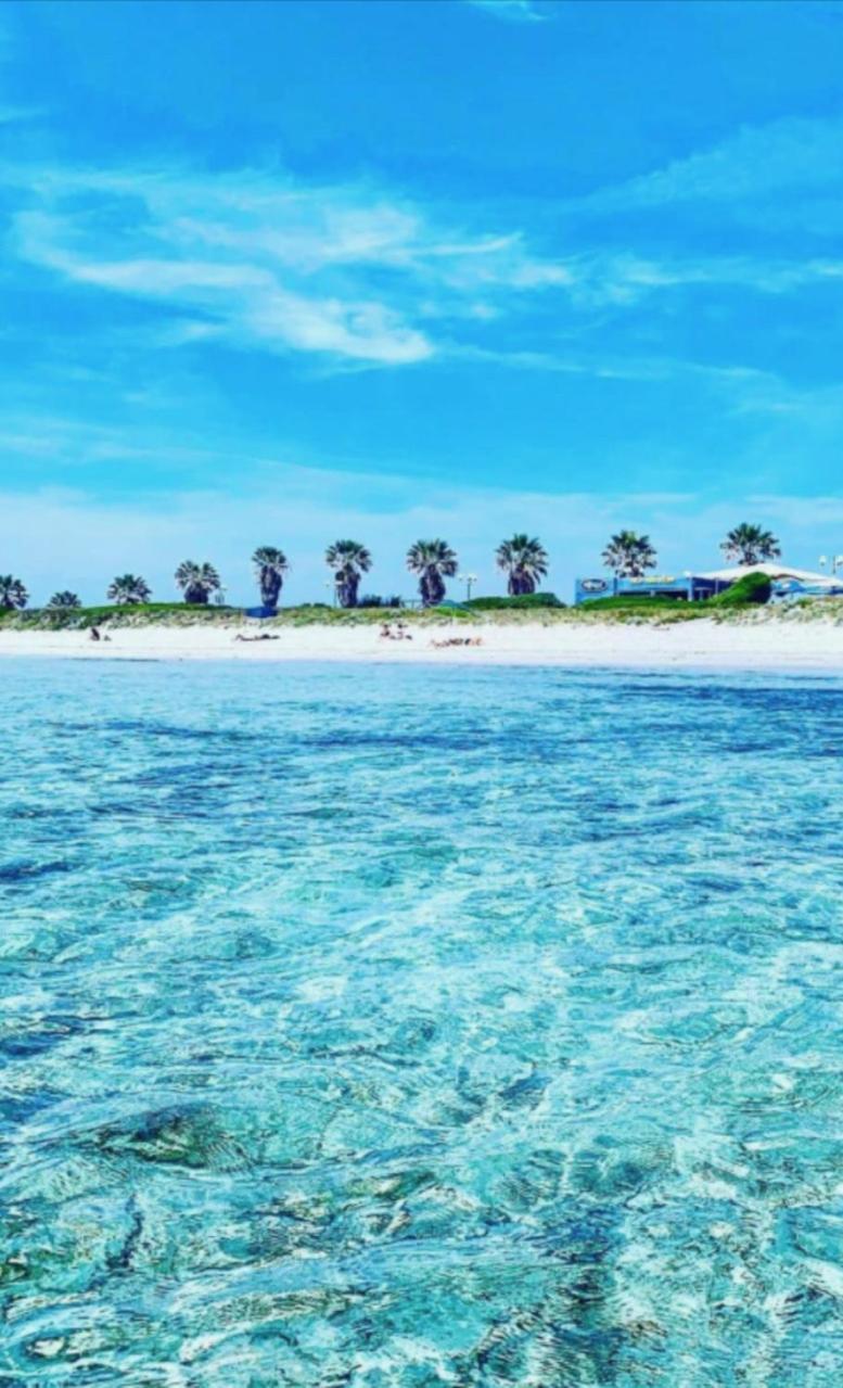 Windsurf Beach Front トッレ・グランデ エクステリア 写真